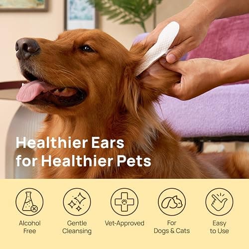 HICC PET Ear Cleaner Finger Wipes for Dogs & Cats, Vet-Recommended Dog Ear Infection Treatment to Relief Itching & Inflammation, Remove Wax, Dirt & Stop Smelly, Non-Irritating, 50ct(Coconut Scent) thumbnail 3