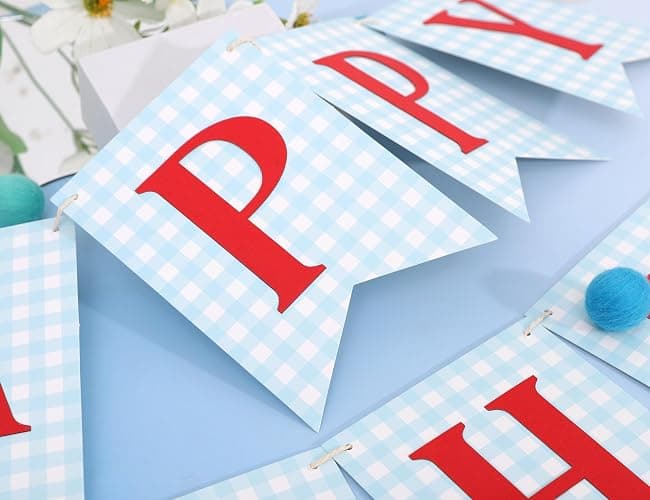 Blue and red Happy Birthday Banner - Happy 1st Birthday decorations, Blue Gingham with Red Letters Happy Birthday Banner thumbnail 8