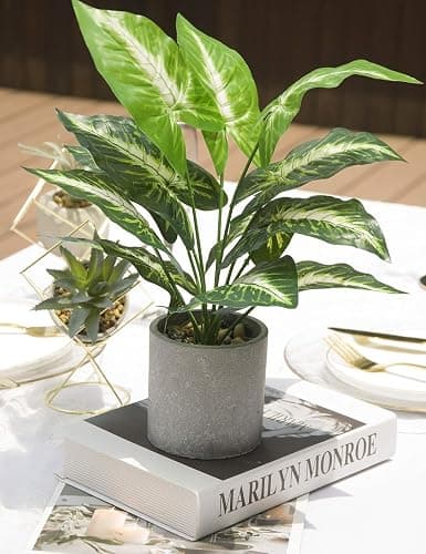 JC nateva 16" Fake Plants Artificial Potted Faux Plants for Bathroom Office Desk Home Decor Indoor thumbnail 6