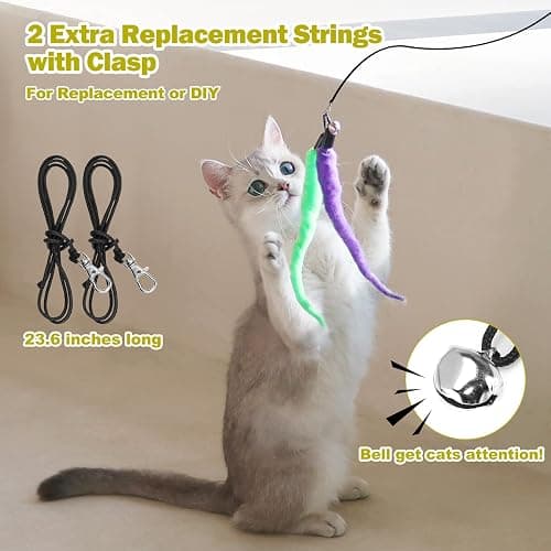 MeoHui Cat Toys for Indoor Cats, Interactive Cat Toy 2PCS Retractable Wand Toy and 9PCS Cat Feather Toys Refills, Funny Kitten Toys Cat Fishing Pole Toy for Bored Indoor Cats Chase and Exercise thumbnail 6