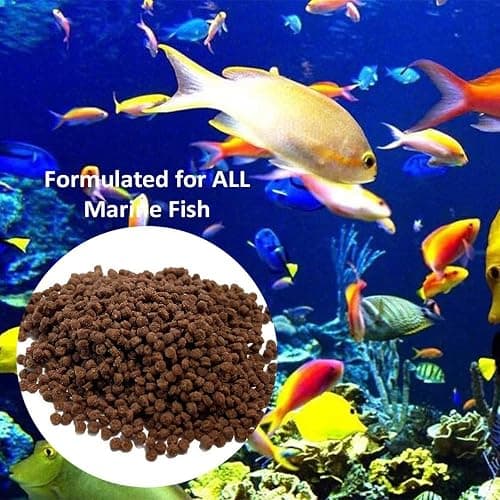 Vitalis Marine Pellets 1mm 140g (4.94oz) - Premium Fish Food for Marine Saltwater Aquariums thumbnail 2