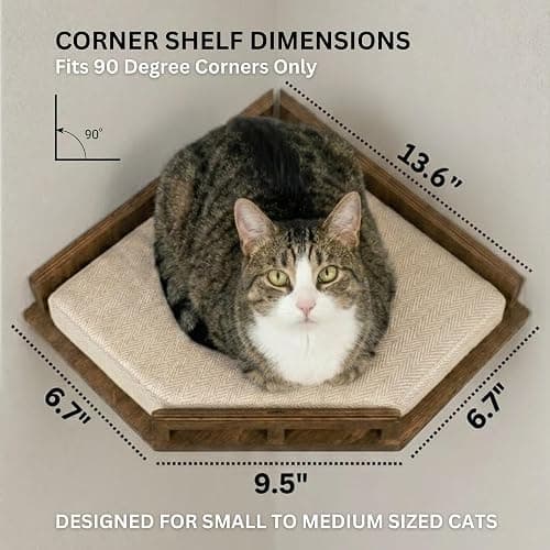 INICIO Cat Wall Shelves - Safe and Sturdy Cat Wall Furniture - Stylish Natural Wood Corner Shelf with 3 Steps for Cats up to 15lbs - Cushioned Perch and Stairs for Climbing and Playing - Dark Brown thumbnail 3