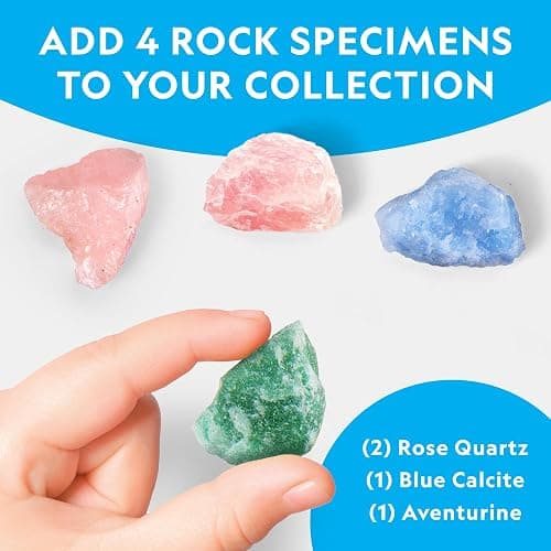 National Geographic Light Up Terrarium Kit for Kids - Build a Dinosaur Habitat with Real Plants & Gemstones, Science Kit, Dinosaur Toys for Kids (Amazon Exclusive) thumbnail 5