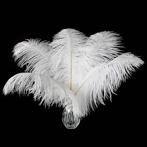 24pcs Natural White Ostrich Feathers 10-12inch (25-30cm) for Wedding Party Centerpieces,Flower Arrangement and Home Decoration. - Image 1