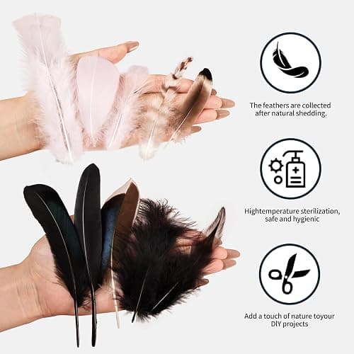 FeelfunFeather 300 pcs Small Feathers - 10 Style Mixed Spotted Decorative Natual Pheasant Feather for DIY Crafts Clothing Jewelry Hair Decoration(Natural,Black,White) thumbnail 3