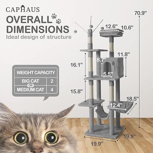 CAPHAUS 70-Inch Multi-Level Tall Cat Tree with Cute Top Perch, Scratching Posts, Cat Activity Tree w/Modern Hammock, Cat Cave Condo for Large Cats Kittens Tall Cat Climbing Play Tower thumbnail 2