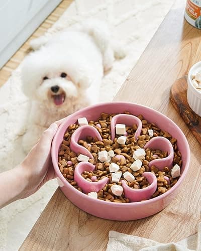 LE TAUCI Slow Feeder Dog Bowls Ceramic, 1.5 Cups Dog Food Bowl, Puppy Slow Feeder Dish for Fast Eaters,Pink Bloom thumbnail 9