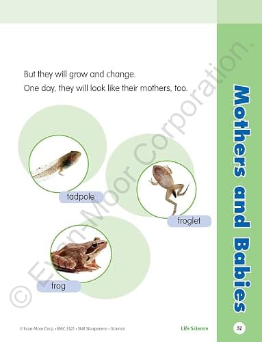 Evan-Moor Skill Sharpeners Science Workbook, Grade 1, Physical, Life, and Earth Science, Songs, Activities, Space, Animals and Eggs, Plants, Habitats, Recycling, Weather, Technology, Homeschool thumbnail 4