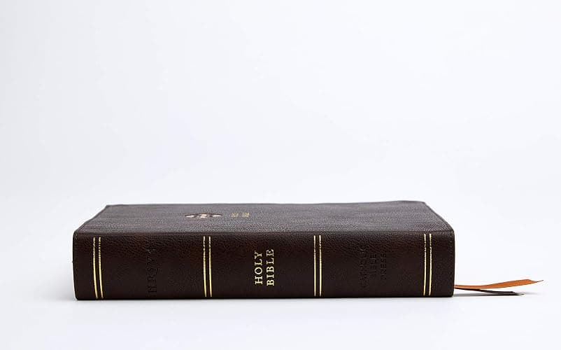 NRSV, Catholic Bible, Journal Edition, Leathersoft, Brown, Comfort Print: Holy Bible thumbnail 3