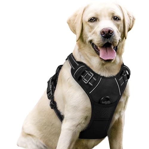 rabbitgoo Dog Harness, No Pull for Large Dogs with 2 Leash Clips, Pet Vest | No Choke with Handle, Adjustable Soft Padded, Reflective, Easy Control for Walking, Black, Large - Image 1
