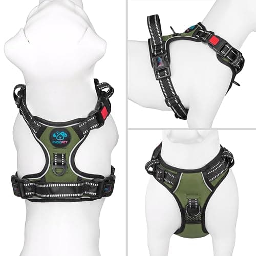 PHOEPET No Pull Dog Harness with Handle Front & Back Clip, Easy on Lockable Snap Buckle at Neck, Adjustable Reflective Vest with Handle for Small Medium Large Dogs (L, Misty Green) thumbnail 2