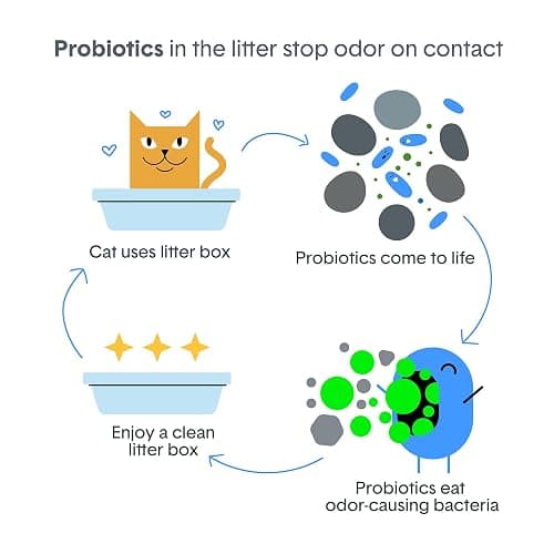 Boxie Probiotic Cat Litter, 40 Day Odor Control, Clumping Clay Kitty Litter, Odor Eliminating Probiotics, Dust-Free, No Fragrances No Fillers, 28 lb thumbnail 6
