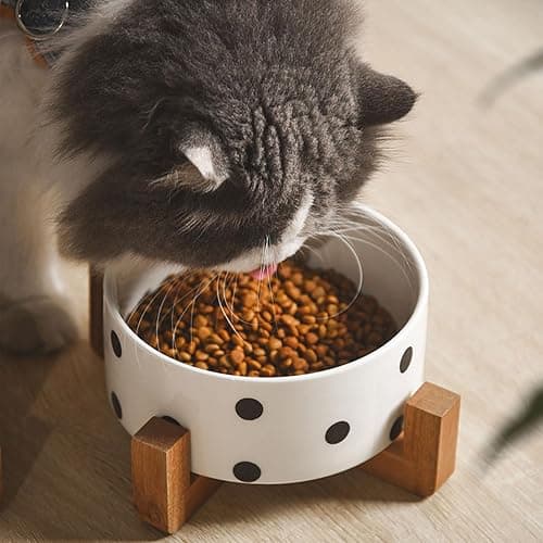 Petygooing Ceramic Dog Bowl Set with Stand, Small Pet Bowls, Anti-Slip Cat & Dog Food and Water Bowl Set (13.5OZ/5.1 in) Black Dot thumbnail 5