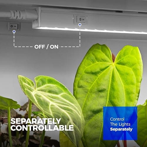 Barrina T5 Grow Lights, 5000K White Full Spectrum LED Grow Light, 2ft 80W (8 x 10W) Plant Grow Lights for Indoor Plants, Plug and Play, 8-Pack thumbnail 5