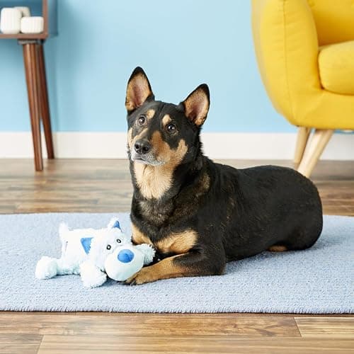 (2 Pack) KONG Moose & blue dog plush dog toys thumbnail 3