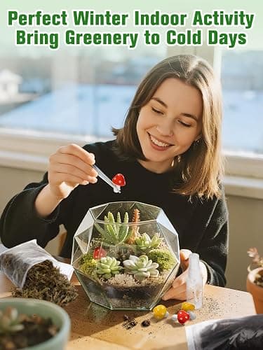 Terrarium Kit Adults - Includes Pumice, Moss, Soil, Pebbles, Charcoal, 2 Tools, Mushroom Ornaments for Succulent Cactus, Christmas Terrarium Accessories Decor Gifts for Starter Women thumbnail 5