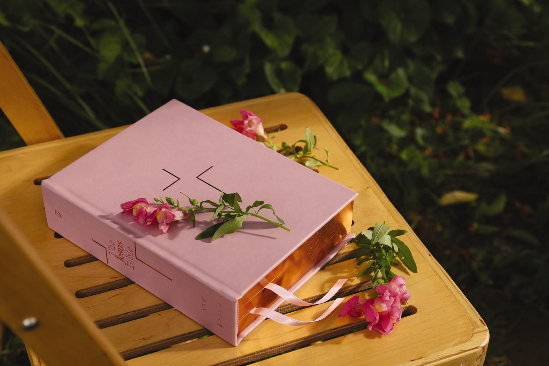 The Jesus Bible [NIV Edition, Pink] thumbnail 2