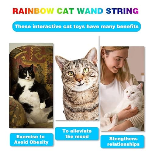 M JJYPET Cat Wand Toys Interactive Kitten Toys for Indoor Cats Colorful Teaser Wand String for Exercise Kitten Stick Kitty Rope Toy Rainbow Ribbon Cat Charmer -2Pcs thumbnail 6