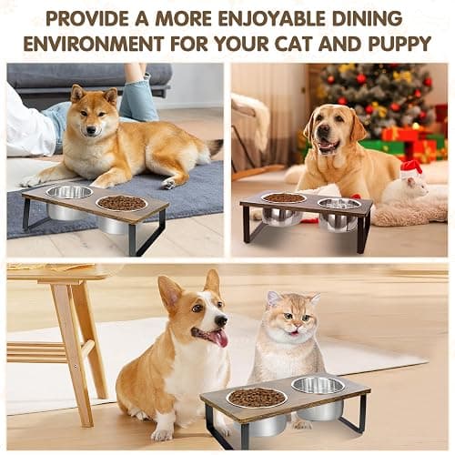KEVIDEAWL Elevated Dog Bowls for Small Medium Wood Dogs Raised Bowl Stand with 2 Stainless Steel Deep Dog Food and Water Bowls, Anti Vomit, Non-Slip Feeding Dishes(Tilted，3 inches in Height, 40oz thumbnail 5