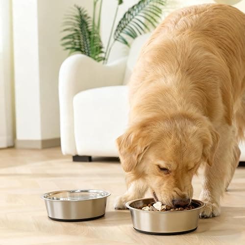 dog bowl thumbnail 7