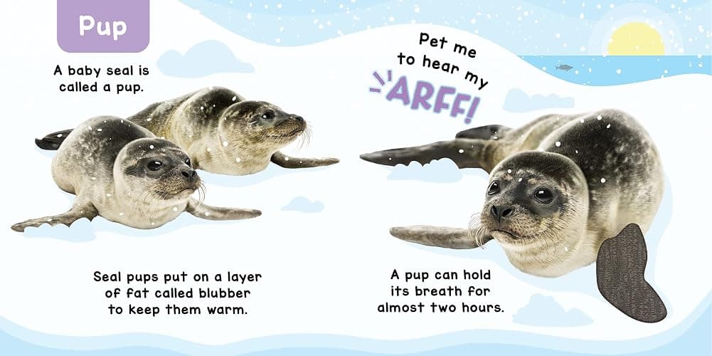 Little Hippo Books Baby Animals - A Noisy Touch and Feel Sensory Book Featuring Farm Sounds thumbnail 8