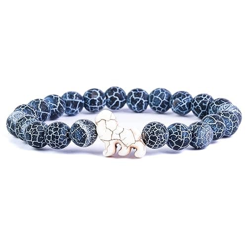 Fahlo Lion Tracking Bracelet, Elastic, supports EWASO Lions, one size fits most for Men and Women - River Blue
