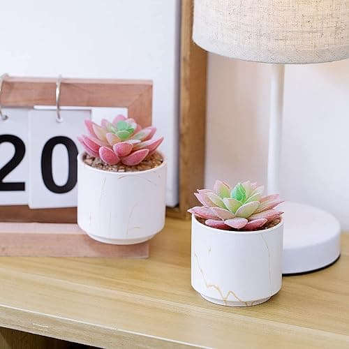 zenmag Succulents Plants Artificial, Mini Fake Succulents in White Ceramic Pots for Desk Livingroom Bathroom and Home Decoration Office Decor for Women Set of 2 Artificial Succulents thumbnail 4