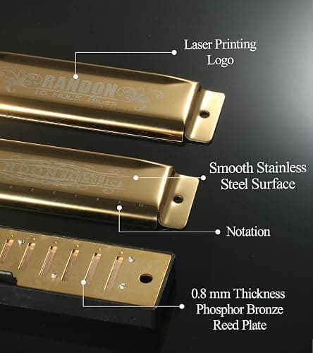 Randon Golden Harmonica Key of C with Case, 10 Holes 20 Tones Diatonic Harmonicas Mouth Organ, Blues Harmonica for Adults/Kids/Professional Players/Beginners, Vintage Style Harmonica, as a Gift thumbnail 2