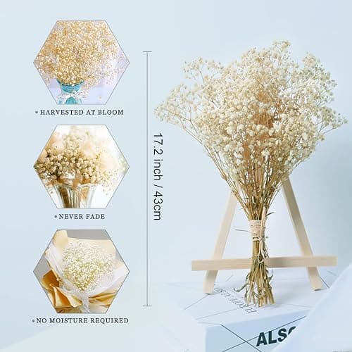 beerfingo 3000+ Dried-Babys-Breath-Bouquet-17.2 inch Dried Flowers, Natural Gypsophila Branches for Home Decor, Wedding, Table Decor, DIY Wreath Floral, Dry Flowers Bulk for Vase (Off White) thumbnail 2