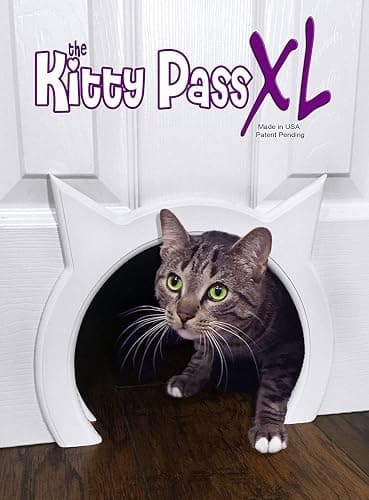 Cat Door - Image 1