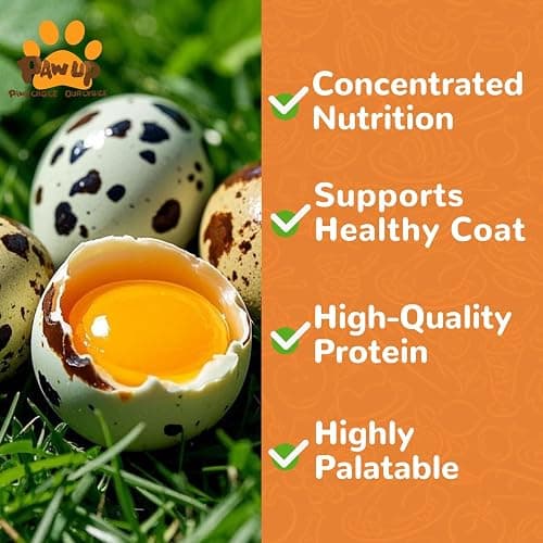 PAWUP Freeze Dried Quail Egg Yolk Pet Treats, Freeze-Dried Pet Food for Dogs, Cats, Pure Fresh Ingredient, 4.2 oz, Rawhide Free, Gluten&Grain Free thumbnail 4
