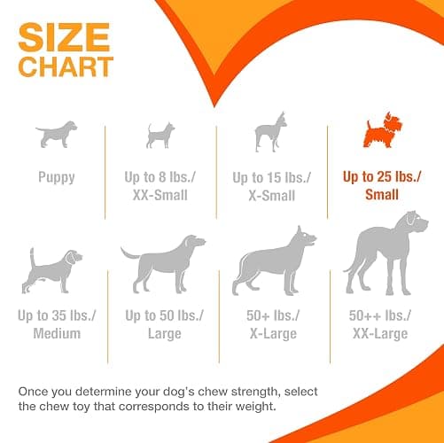 Nylabone Power Chew Toy Bundle, Cute Dog Toys for Aggressive Chewers, Filet Mignon, Cheese, and Bacon Flavors, Small Dogs - Up to 25 lbs, 3 Pack thumbnail 4