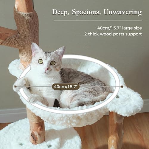 PAWZ Road Cat Tree for Indoor Cats Large Adults, 59 Inches Modern Cat Tower with Large Basket and Hammock, Natural Solid Wood, Luxury Condo & Dual Perches, Modern Cat Furniture for Big Cats, White thumbnail 4