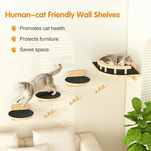 XiaZ Cat Wall Shelves, Corner Cat Shelf with 3 Wide Perch Steps, Kitty Wall Climber Wooden Furniture up to 25lbs, Modern Floating Cats Stairs for Indoor Sleeping, Playing, Climbing thumbnail 4
