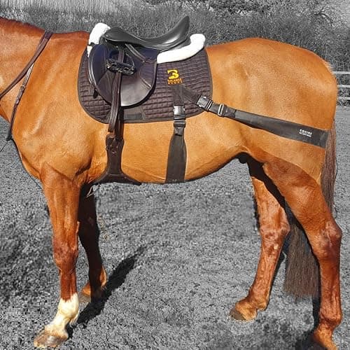 Equine Balance Bands Equine Band System - Core Training Aid for Horses. Saddle Pad and Equibands System thumbnail 2