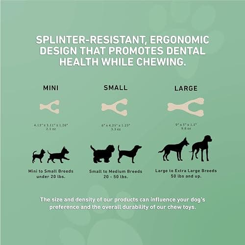 BetterBone - Medium Density - Ideal for Moderate to Strong Chewers - All-Natural, Nylon-Free Dog Chew Toys - Non-Toxic, Promotes Dental Health, Splinter-Resistant, Sustainably Made thumbnail 6