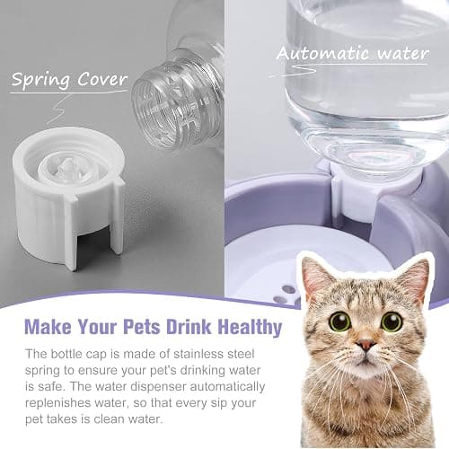 Dog Bowls, Cat Food and Water Bowl Set with Water Dispenser and Stainless Steel Bowl for Cats and Small Dogs - Purple thumbnail 4