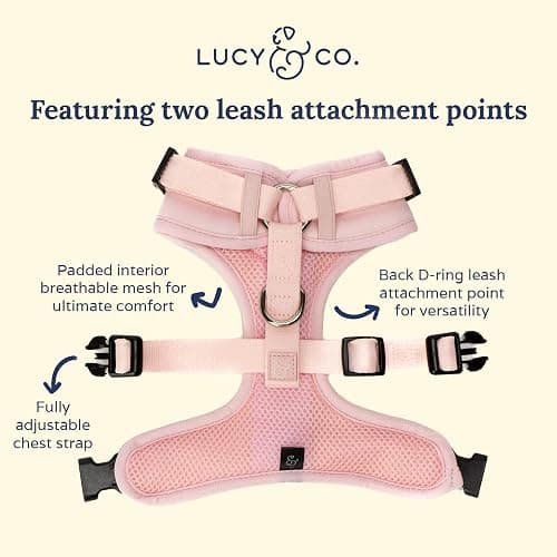 Lucy & Co. The Rosewater No-Pull Dog Harness - Size Large - Vest to Stop Pulling & Walk Easy - Comfortable Leash Training Product w/Adjustable Chest & Neck Straps thumbnail 3