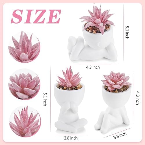 3 Pcs Fake Succulents Plants thumbnail 3