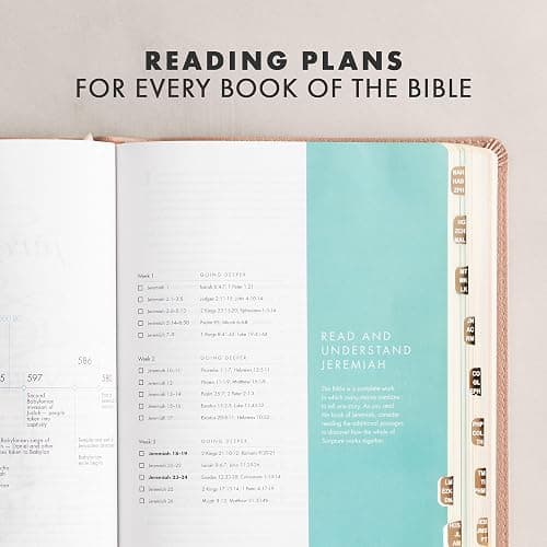 CSB She Reads Truth Bible, Rose Gold LeatherTouch, Indexed, Black Letter, Full-Color Design, Wide Margins, Journaling Space, Devotionals, Reading Plans, Single-Column, Easy-to-Read Bible Serif Type thumbnail 6
