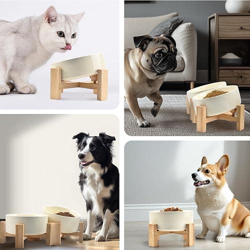 SPUNKYJUNKY 15° Slanted Ceramic Dog Bowl with Elevated Bamboo Stand - Tilted Pet Feeder for French Bulldog Pugs No Slip Anti-Vomiting for Cat Small Dog Flat Face Pets 13.5 OZ (1.7 Cups, Beige × 2) thumbnail 9