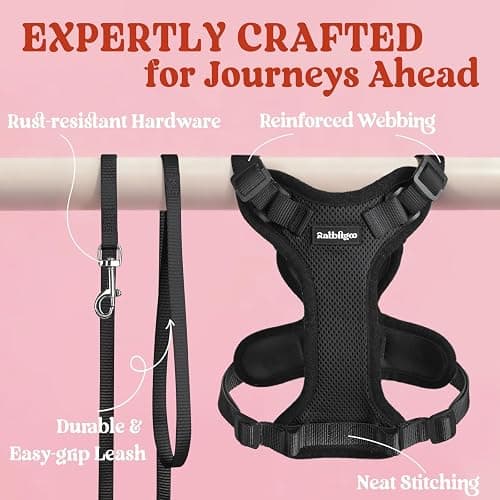 rabbitgoo Cat Harness and Leash for Walking, Escape Proof Soft Adjustable Vest Harnesses for Cats, Easy Control Breathable Reflective Strips Jacket, Black, XS thumbnail 7