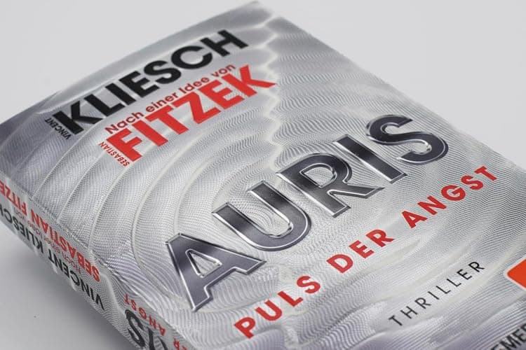Auris. Puls der Angst: Nach einer Idee von Sebastian Fitzek (Ein Jula und Hegel-Thriller, Band 6) thumbnail 10