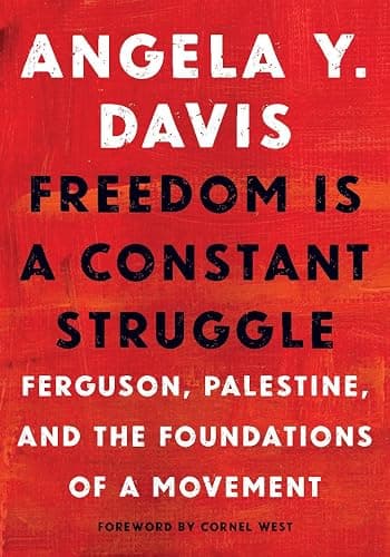 Freedom Is a Constant Struggle: Ferguson, Palestine, and the Foundations of a Movement - Image 1