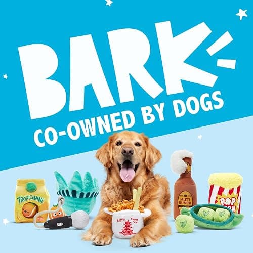 Barkbox 2 in 1 Interactive Plush Dog Toy - Rip and Reveal Toy for Dogs and Puppies - Stimulating Squeaky Pet Toys | Prickly Pete (Small) thumbnail 7