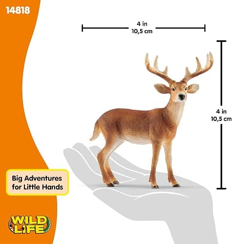 Schleich Wild Life - White Tail Buck Deer Figurine - Realistsic Wild Animal Figure for Boys and Girls - Educational Toys for Kids Ages 3+ | 14819 thumbnail 2