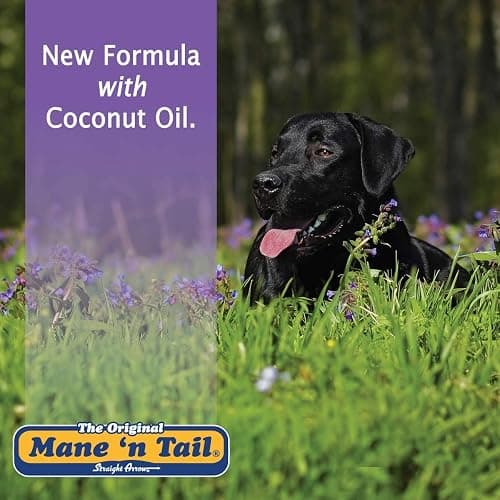 Mane 'n Tail Ultimate Gloss Combo Set for The Ultimate Long Lasting Shine thumbnail 7