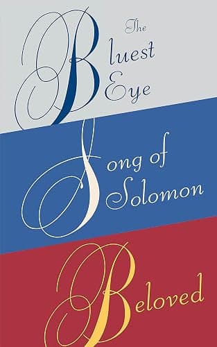 Toni Morrison Box Set: The Bluest Eye, Song of Solomon, Beloved - Image 1