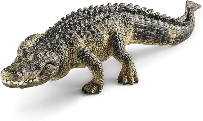 Schleich Wild Life - 5PC North American Animal Figurine Bundle - Realistic Moose, Wolf, Fox, Alligator, and Grizzly Bear Figures - Educational Toys for Kids for Screen-Free Play - 3+ | 77417 | Wild Animal Figurine, Realistic Animal Toys, Safari Toy for Boys and Girls, Screen-Free Imaginative Pretend Play, Montessori thumbnail 5