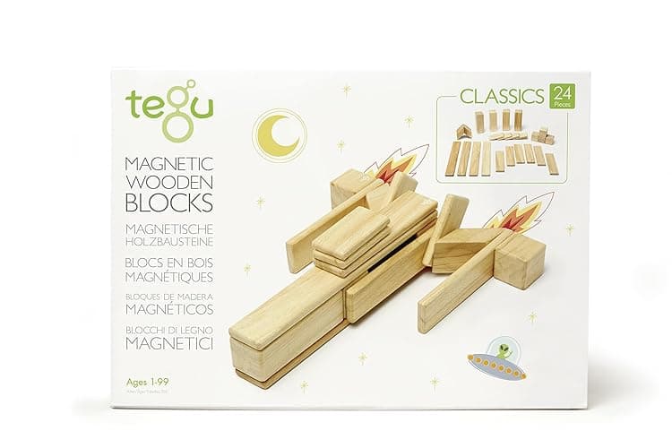 Tegu Magnetic Wooden Block Set